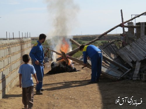 مانور بزرگ زلزله در روستای قرنجیک پورامان شهرستان آق قلا برگزار شد