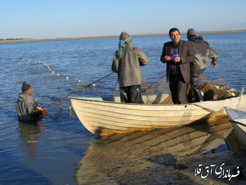 شهرستان آق قلا رتبه دوم تولید ماهی در استان را داراست