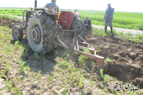 آبیاری 14000هکتار  مزارع غلات شهرستان آق قلا