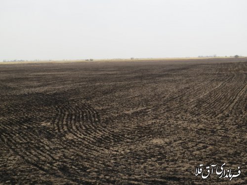 بررسی میدانی فرماندار از مزارع غلات دچار طعمه حریق شده روستای گری