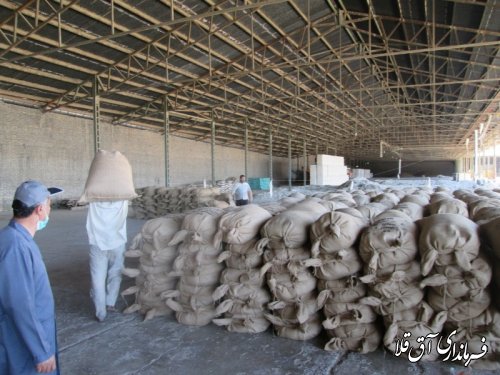 بازدید مدیر کل پنبه و دانه های روغنی وزارت جهاد کشاورزی از کارخانه پنبه پاک کنی