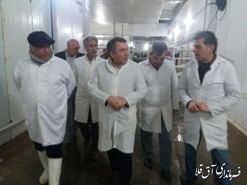 بازدید فرماندار شهرستان آق قلا از کشتارگاه صنعتی طیور زرپاک