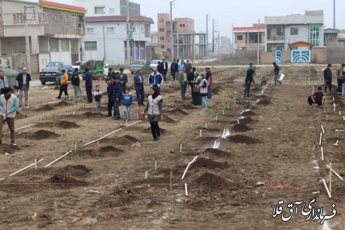 آئین درختکاری و کاشت نهال در شهرک مخابرات شهر آق قلا