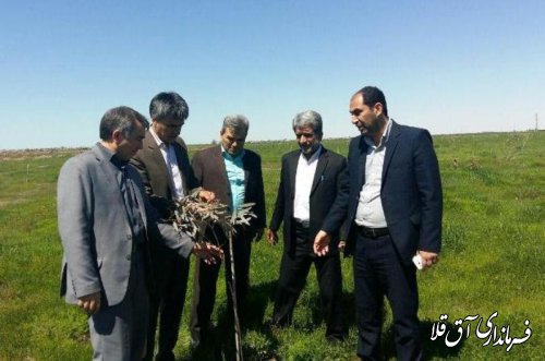 بازدید مشترک فرماندار و مدیر کل منابع طبیعی استان از بوستان 4000شهید