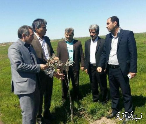 بازدید مشترک فرماندار و مدیر کل منابع طبیعی استان از بوستان 4000شهید