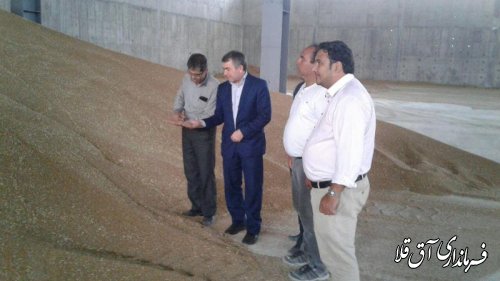 70 هزار تن گندم تا کنون تحویل مراکز خرید شهرستان شده است