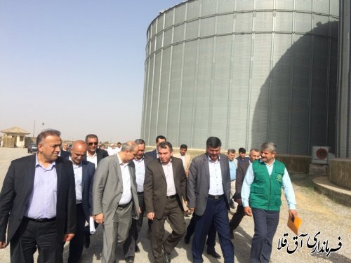 بازدید استاندار گلستان از مراکز خرید گندم در شهرستان آق قلا