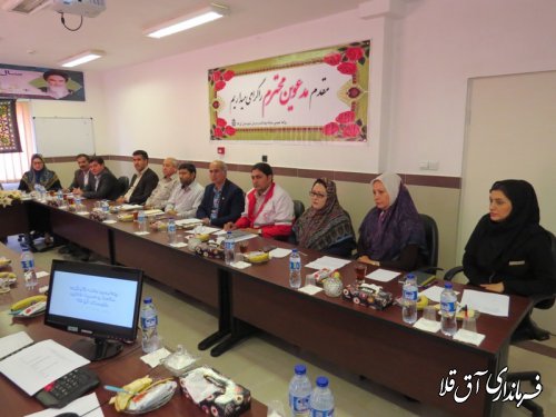 چهارمین جلسه کارگروه تخصصی سلامت و امنیت غذایی شهرستان آق قلا برگزار شد