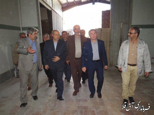 استاندار گلستان از دو واحد تولیدی شهرک صنعتی آق قلا بازدید نمود