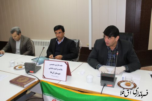هشتمین جلسه کارگروه تخصصی سلامت و امنیت غذایی شهرستان آق قلا برگزار شد