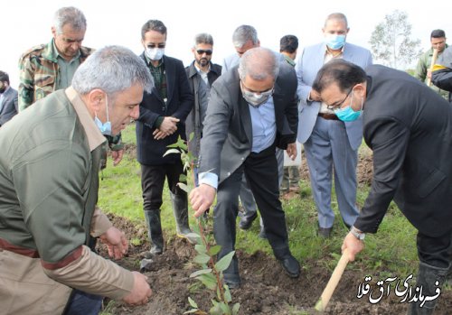 مراسم درختکاری در بوستان 4 هزار شهید شهرستان آق قلا برگزار شد