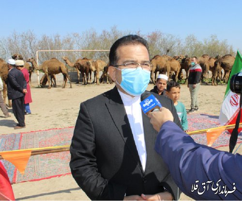 جشنواره انتخاب شتر اصیل و اسب بومی ترکمن در شهرستان آق قلا برگزار شد