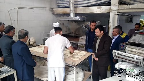 بازدید از اجرای طرح  نانوایی های  دوگانه سوز شهرستان
